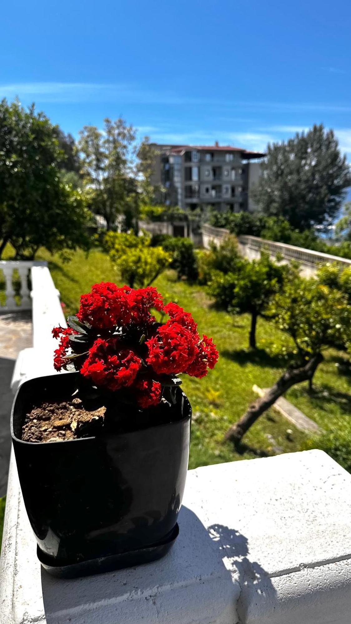 Villa Mare - For Families & Groups Vlorë Buitenkant foto